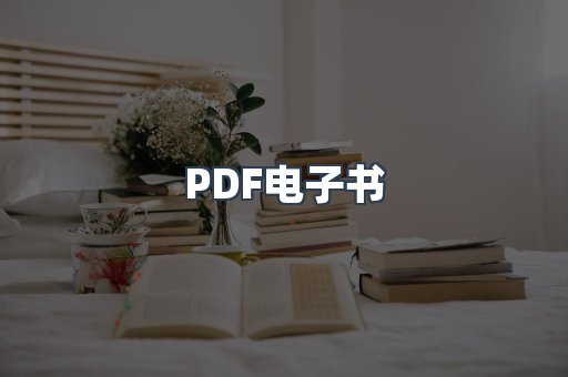 PDF电子书